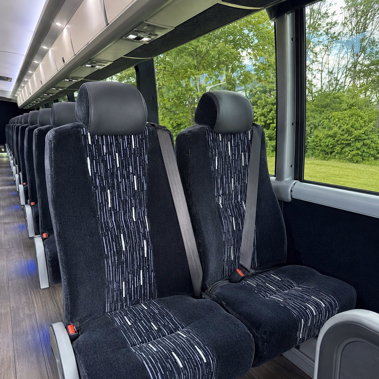 clovischarterbuscompany com lets you compare buses for harvest season wine events and weekend tours