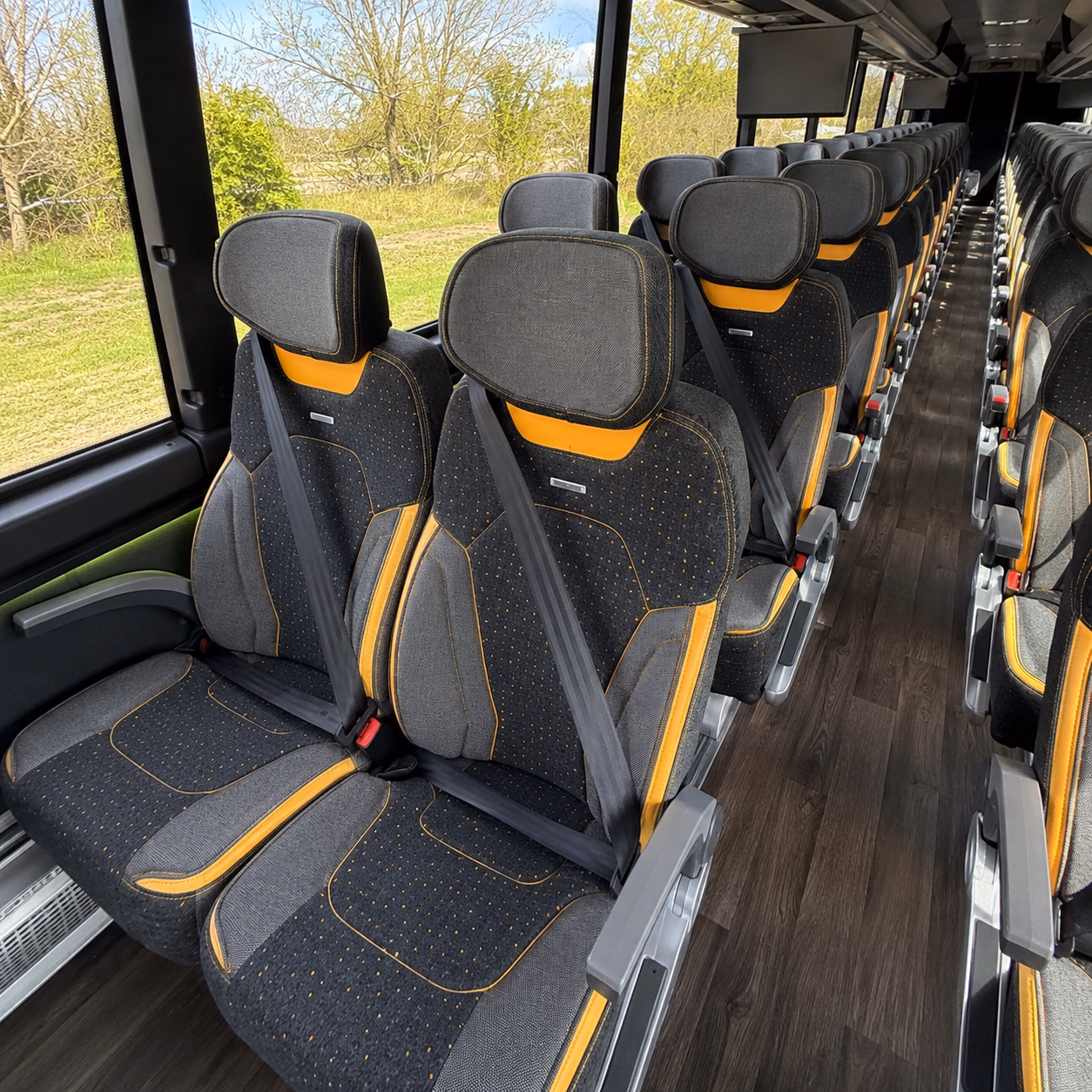 compare buses in minutes not days